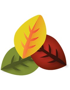 العسل والمربى والأطعمة القابلة للدهن